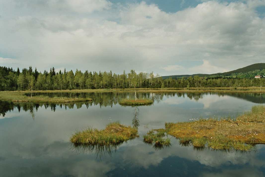 Chalupska-slat